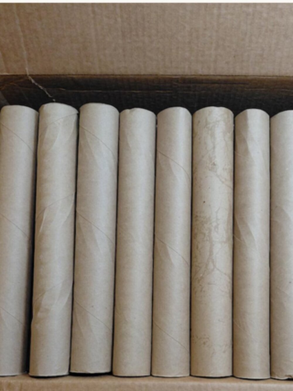100 Empty Paper Towel TP Rolls for Arts & Crafts, Church, School, Projects